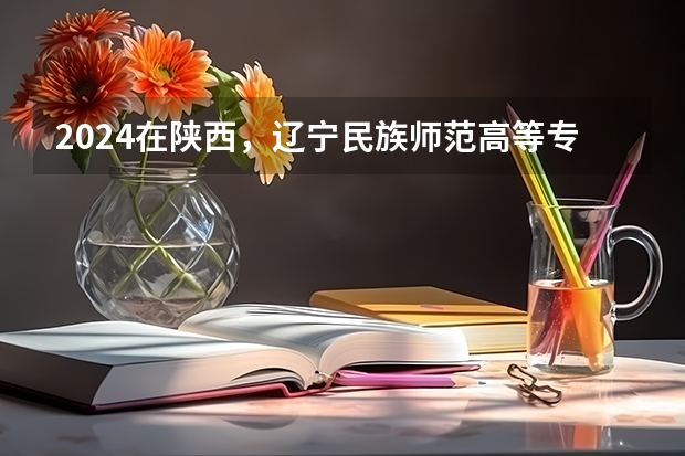 2024在陕西，辽宁民族师范高等专科学校招生计划如何