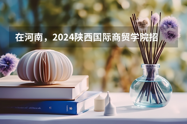 在河南，2024陕西国际商贸学院招生计划如何