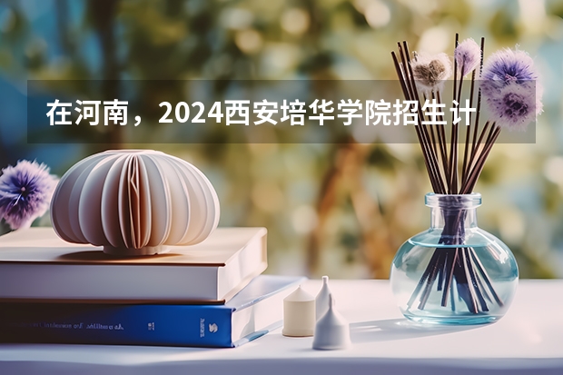 在河南，2024西安培华学院招生计划如何