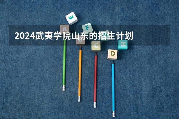 2024武夷学院山东的招生计划