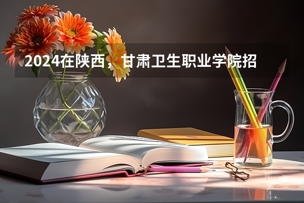 2024在陕西，甘肃卫生职业学院招生计划如何