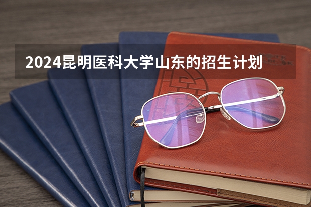 2024昆明医科大学山东的招生计划