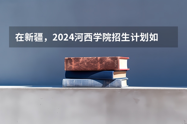 在新疆，2024河西学院招生计划如何