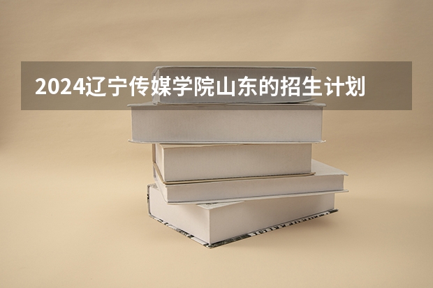 2024辽宁传媒学院山东的招生计划