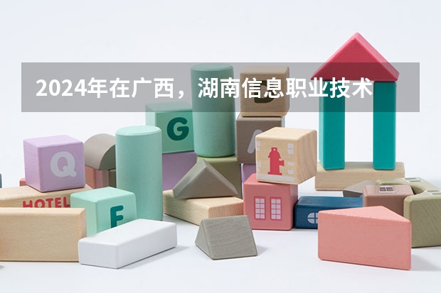 2024年在广西，湖南信息职业技术学院如何招生