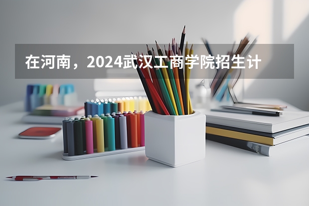 在河南，2024武汉工商学院招生计划如何