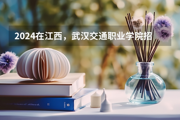 2024在江西，武汉交通职业学院招生计划如何