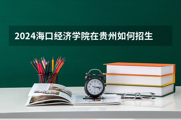 2024海口经济学院在贵州如何招生