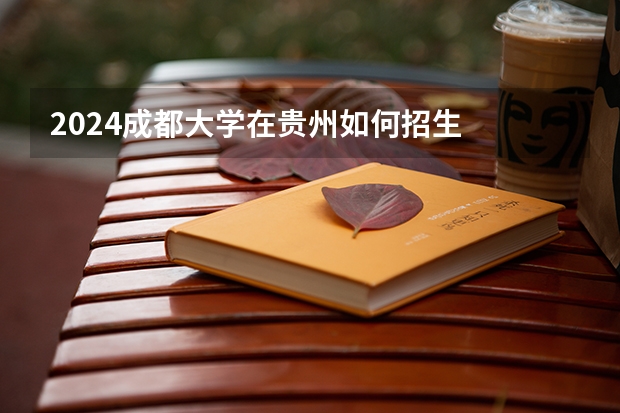 2024成都大学在贵州如何招生