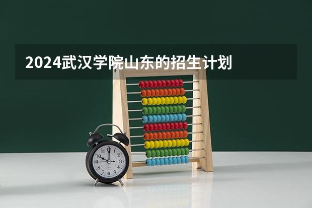 2024武汉学院山东的招生计划