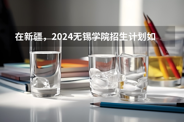 在新疆，2024无锡学院招生计划如何