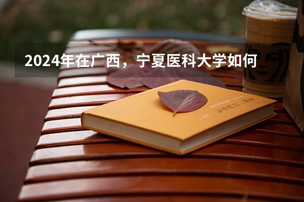 2024年在广西，宁夏医科大学如何招生