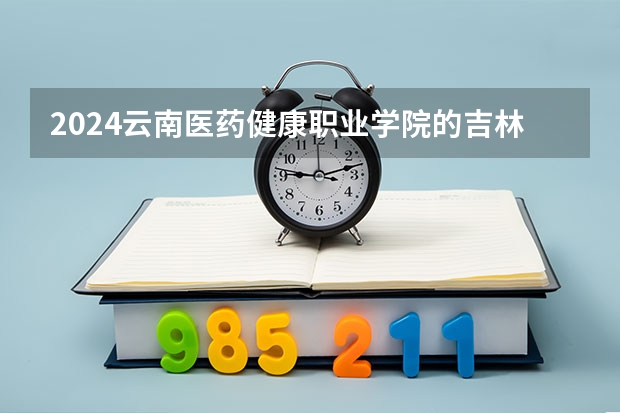 2024云南医药健康职业学院的吉林招生计划