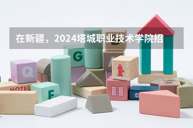 在新疆，2024塔城职业技术学院招生计划如何