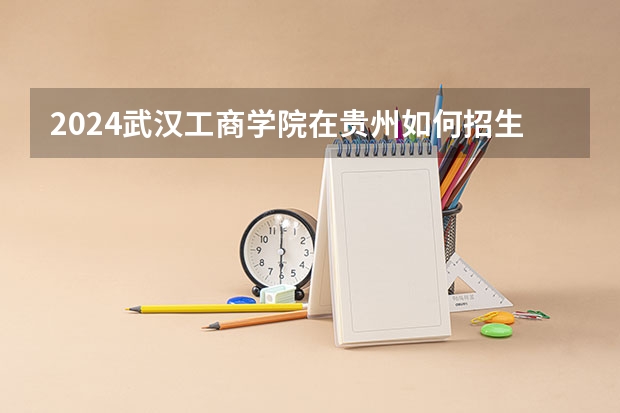2024武汉工商学院在贵州如何招生