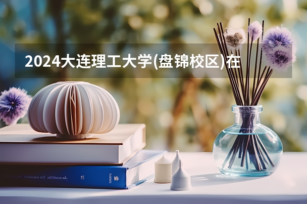 2024大连理工大学(盘锦校区)在四川的招生方案