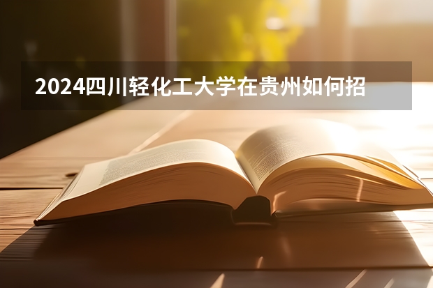 2024四川轻化工大学在贵州如何招生