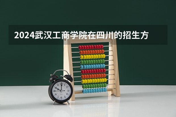 2024武汉工商学院在四川的招生方案