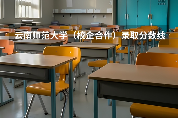 云南师范大学（校企合作）录取分数线是多少？