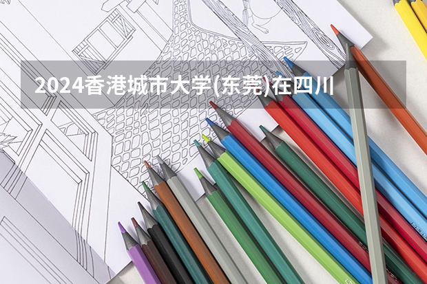 2024香港城市大学(东莞)在四川的招生方案