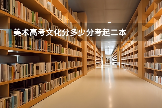 美术高考文化分多少分考起二本
