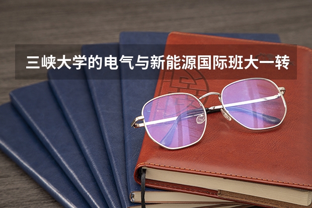 三峡大学的电气与新能源国际班大一转专业进难度大吗