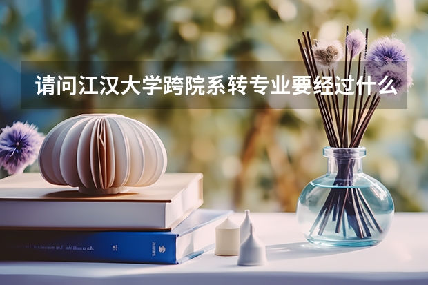 请问江汉大学跨院系转专业要经过什么程序和什么条件？总得来说是否容易转专业？谢谢你。