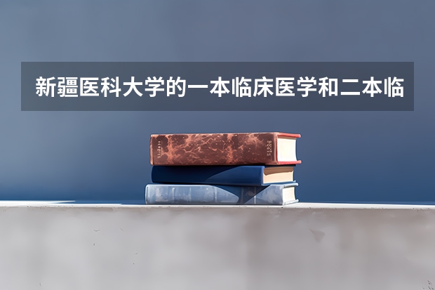 新疆医科大学的一本临床医学和二本临床医学有什么不同？