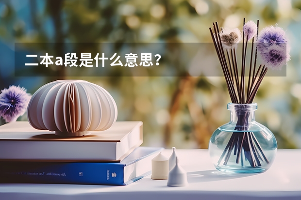 二本a段是什么意思？