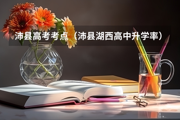 沛县高考考点（沛县湖西高中升学率）