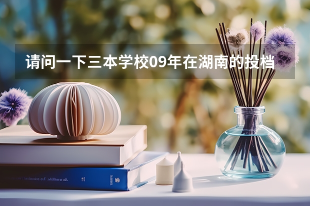 请问一下三本学校09年在湖南的投档线 只要投档分数线!急求(农林大学金山学院艺术系文分录取分数线)