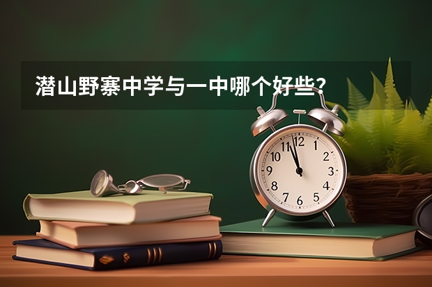 潜山野寨中学与一中哪个好些？