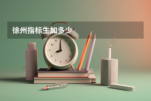 徐州指标生加多少