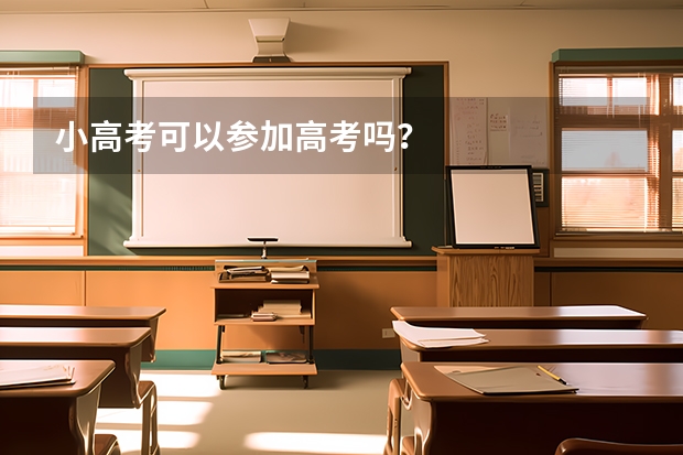 小高考可以参加高考吗？