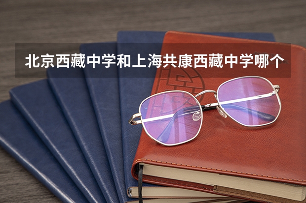 北京西藏中学和上海共康西藏中学哪个好