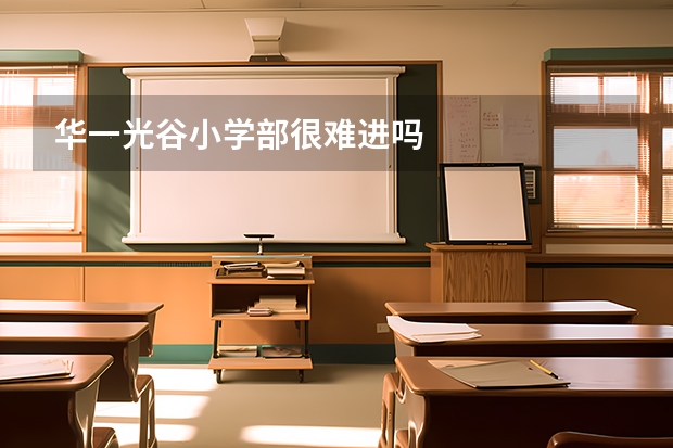 华一光谷小学部很难进吗