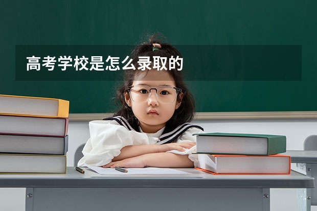 高考学校是怎么录取的