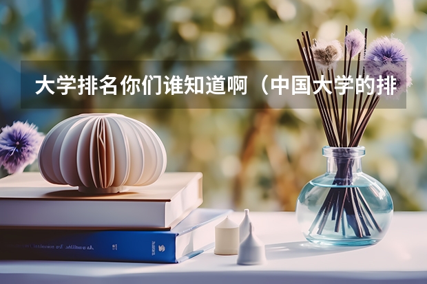 大学排名你们谁知道啊（中国大学的排名）