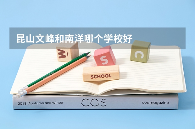 昆山文峰和南洋哪个学校好