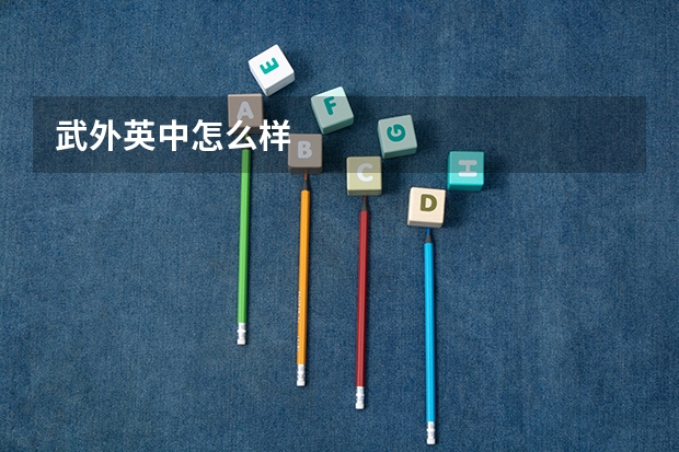 武外英中怎么样