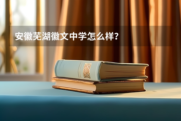 安徽芜湖徽文中学怎么样？