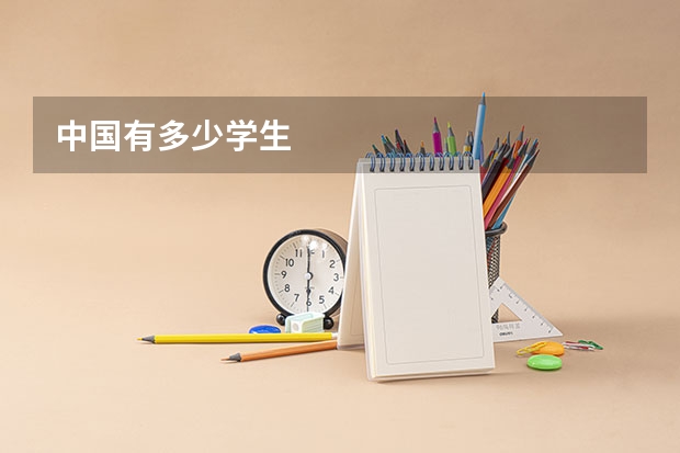 中国有多少学生