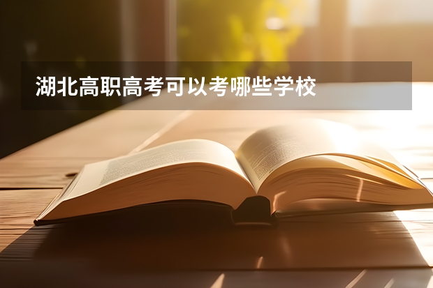 湖北高职高考可以考哪些学校